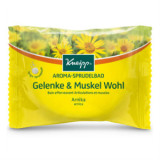 KNEIPP 克奈圃有机芳香关节/肌肉舒适沐浴