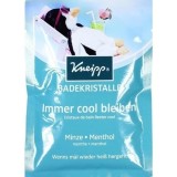 KNEIPP 克奈圃薄荷沐浴盐清爽镇定60g