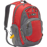 Deluxe Traveler's Laptop Backpack