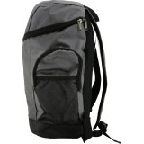 Silver Daze Backpack