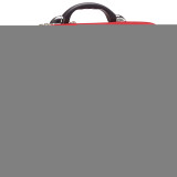 Bold Laptop Case