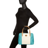 Vertical Color Block Large Satchel