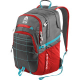 Buffalo Laptop Backpack