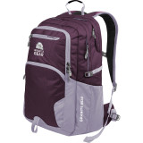Sawtooth Laptop Backpack