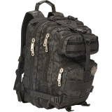 Harley Davidson Molle Backpack/Tandem