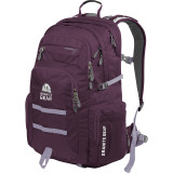 Superior Laptop Backpack