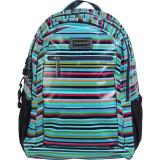 Cool Back Pack