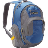 Deluxe Traveler's Laptop Backpack