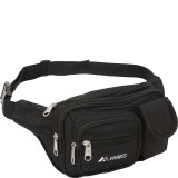 Multiple Pocket Waist Pack