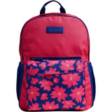 Large Colorblock Backpack - Retired Prints