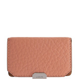 Borrego Under Lock and Key Mini Card Case