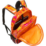 Cool Back Pack