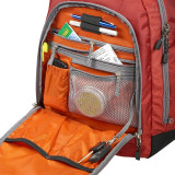 TLS Workstation Laptop Backpack