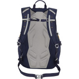 Ashwood Daypack