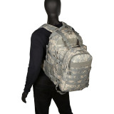 Dual Tactical Pack System