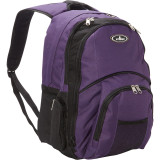 Backpack With Laptop Storage