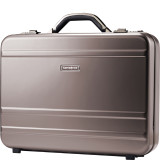 Delegate 3.1 Attache