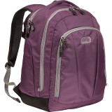 TLS Workstation Laptop Backpack