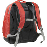 TLS Workstation Laptop Backpack