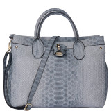Windsor Shopper