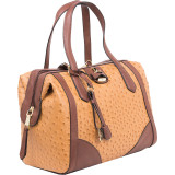 Skyler Frame Satchel