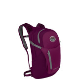 Daylite Plus Laptop Backpack