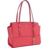Devyn Satchel