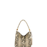 Hillary Python Hobo