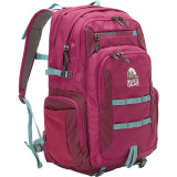 Superior Laptop Backpack