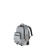 Rolling Dhole Laptop Backpack