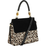 Fiona Satchel
