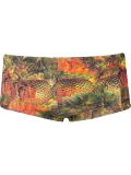 printed swim trunks