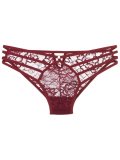 lace panel briefs