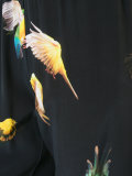 Budgie睡裤