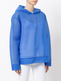 semi-sheer hoodie