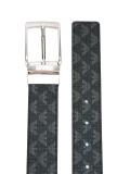 logo belt