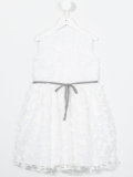 embroidered dress