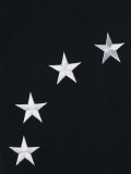 embroidered star sweatshirt