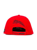 tiger embroidered cap