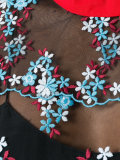 embroidered sheer top