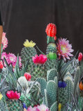 Cactus Blossom printed dress