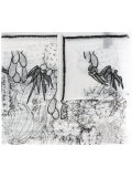 cactus motive print scarf