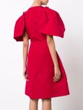 oversized ruffled sleeve dress
