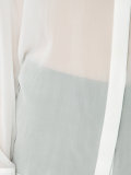 semi-sheer shirt