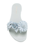 flat slide sandals