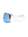 oversized iridescent sunglasses