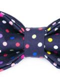 polka dot bow tie 