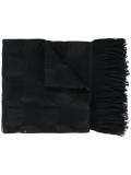 sheer detail scarf