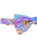 paisley print bow tie