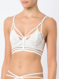lace bra